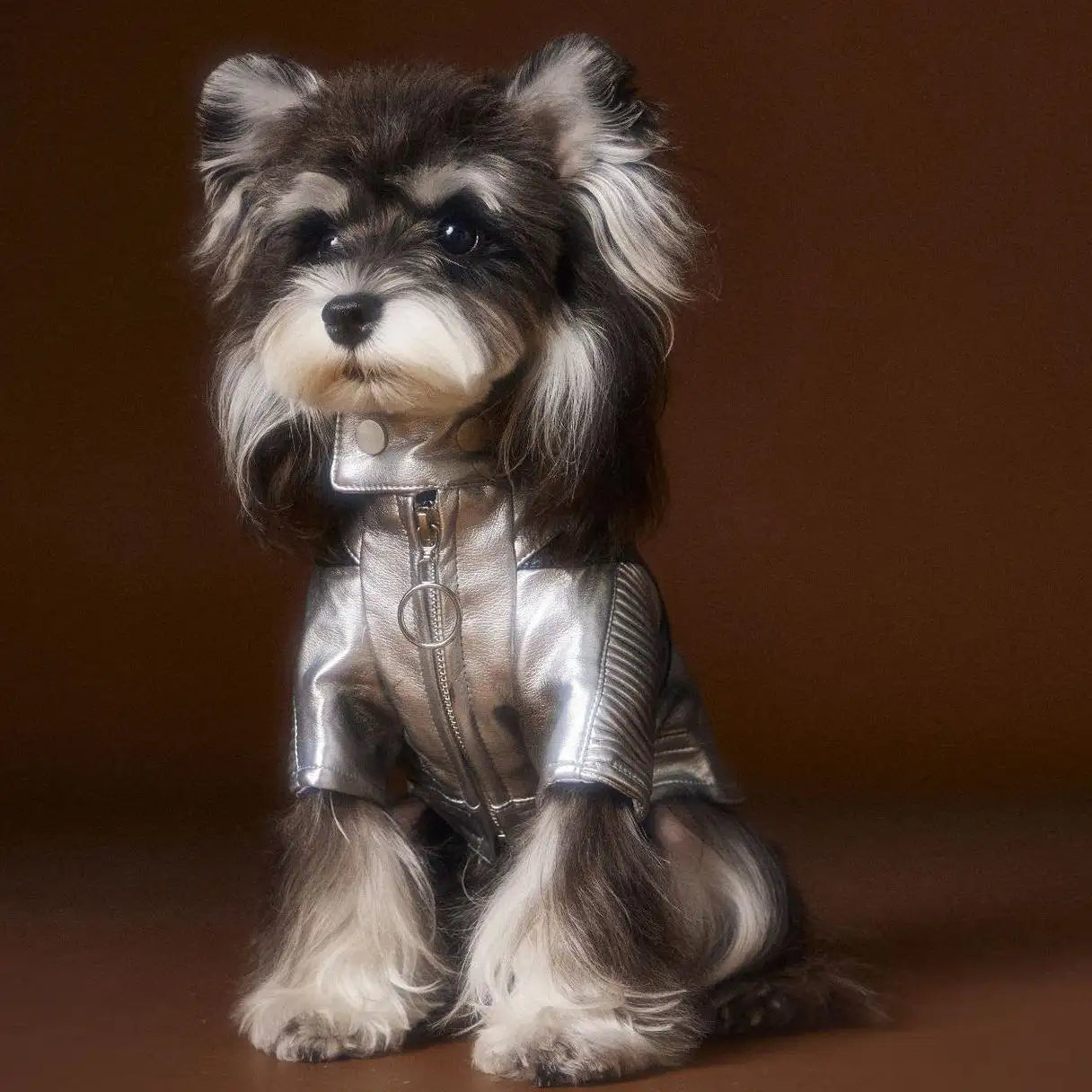 Kittyoo Autumn/Winter New Dog Clothes