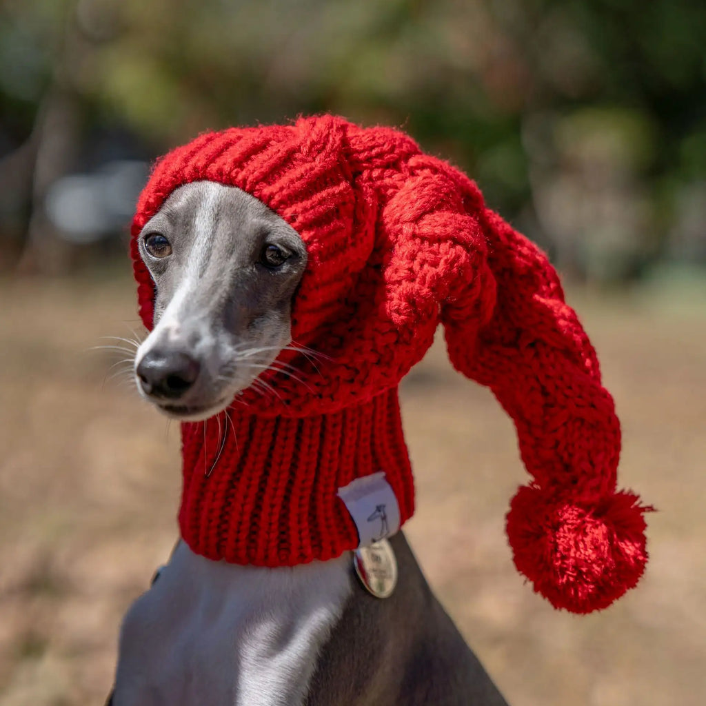 Bonnet chaud en tricot pour Whippet et Lévrier italien - Joli bonnet d'hiver pour chien 