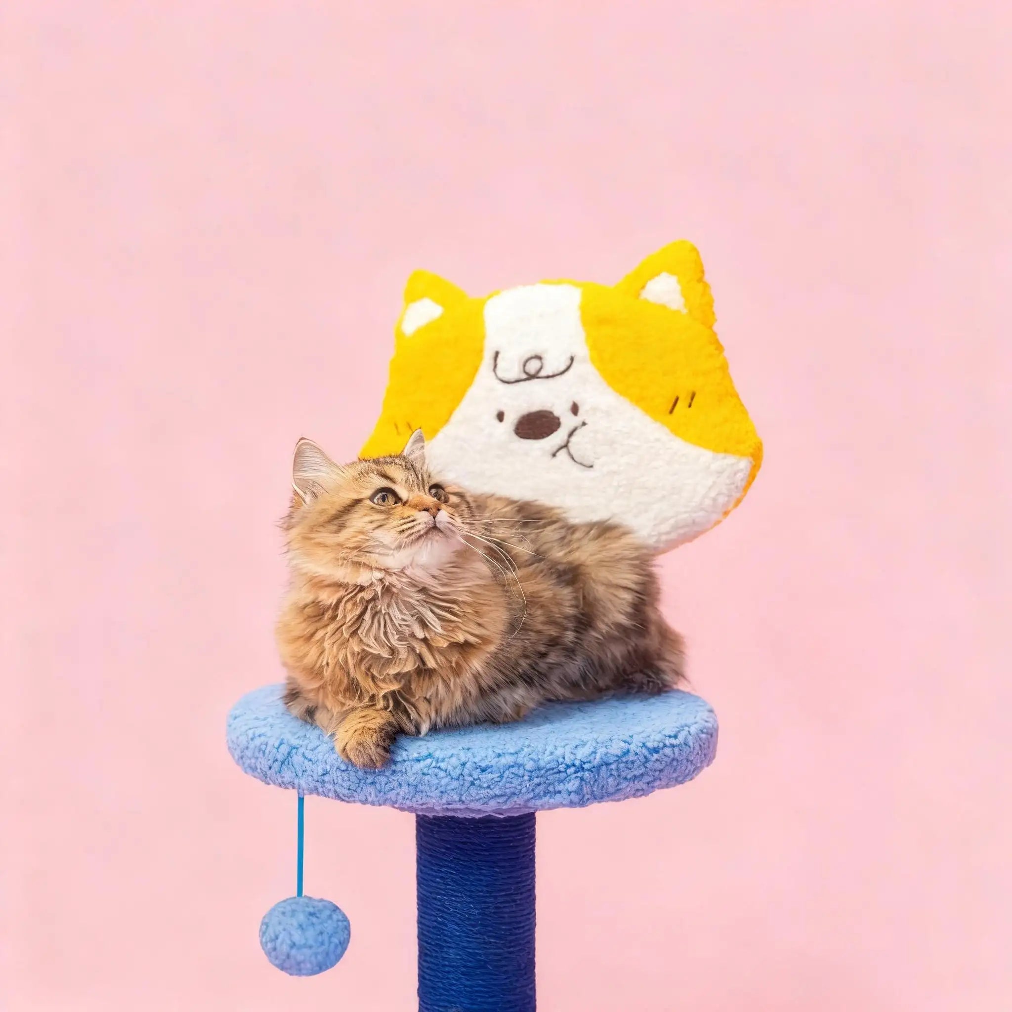 Kittyoo Rotating Cat Tree & Scratching Posts