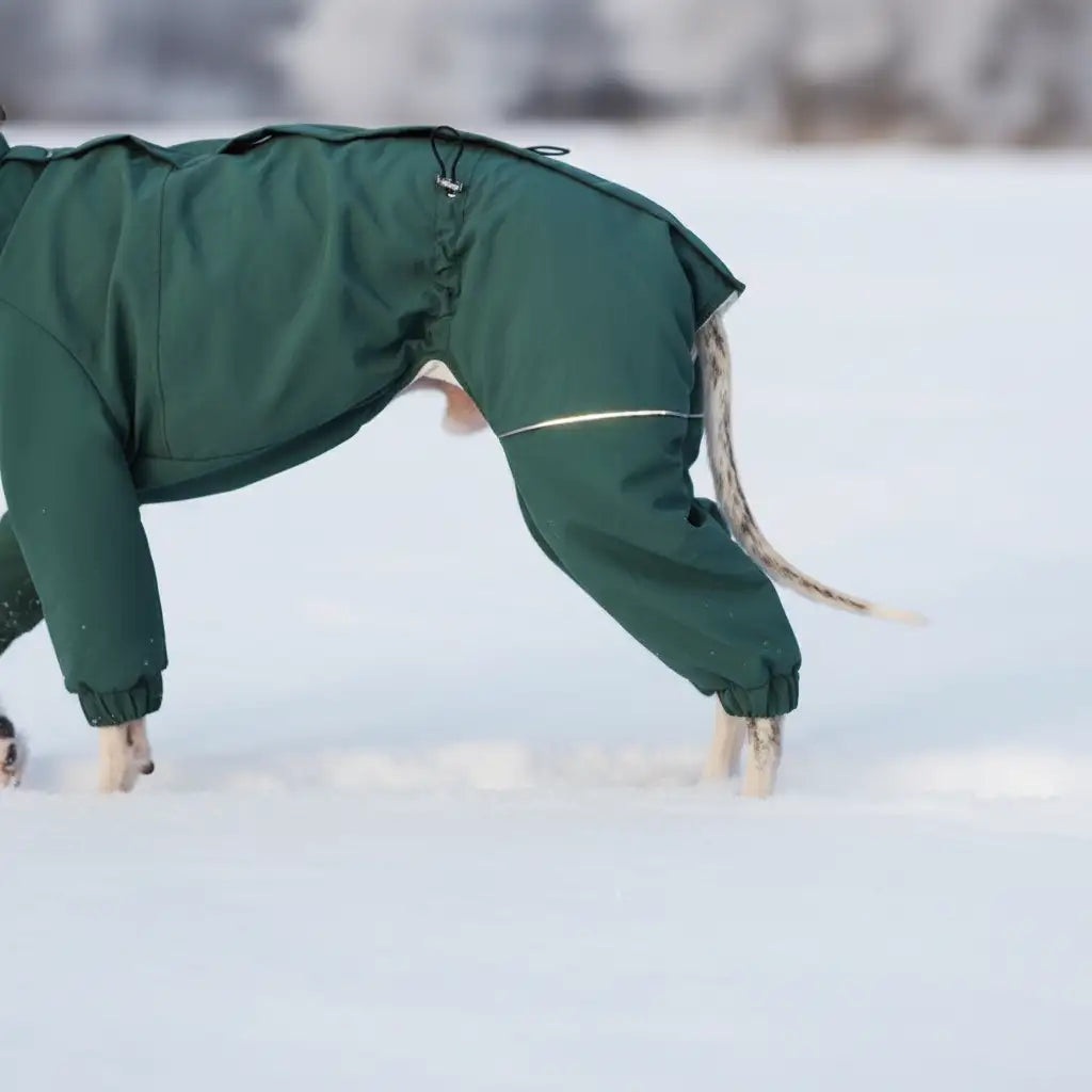 Kittyoo Winter Dog Parka | Waterproof Windproof 4-Leg Coat for Greyhound