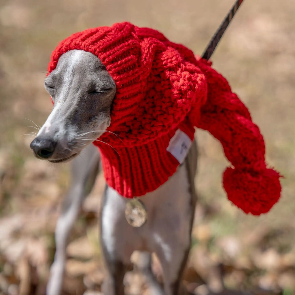 Bonnet chaud en tricot pour Whippet et Lévrier italien - Joli bonnet d'hiver pour chien 
