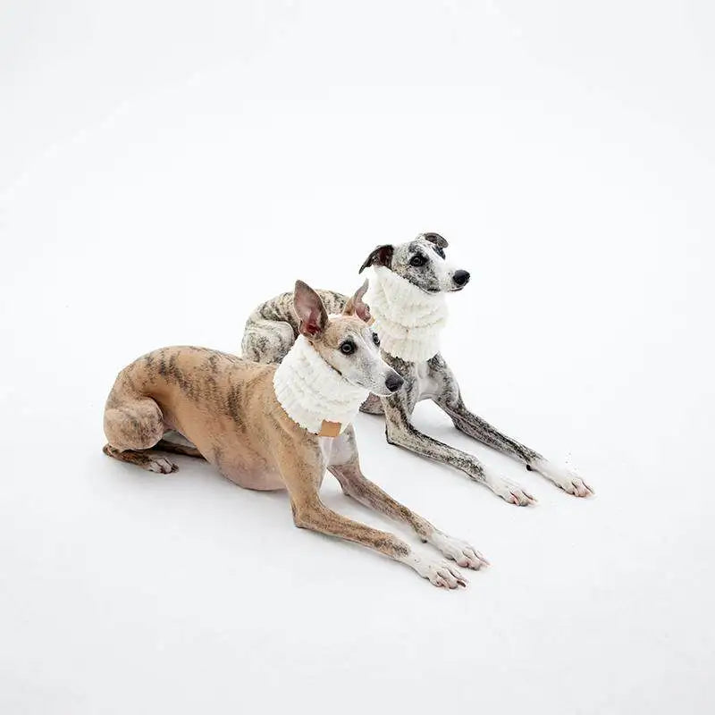 Fleecehalsvarmer til hund - Whippet italiensk greyhound skjerf 