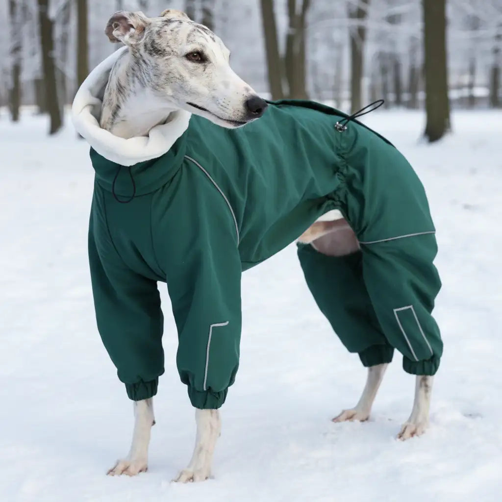 Kittyoo Winter Dog Parka | Waterproof Windproof 4-Leg Coat for Greyhound
