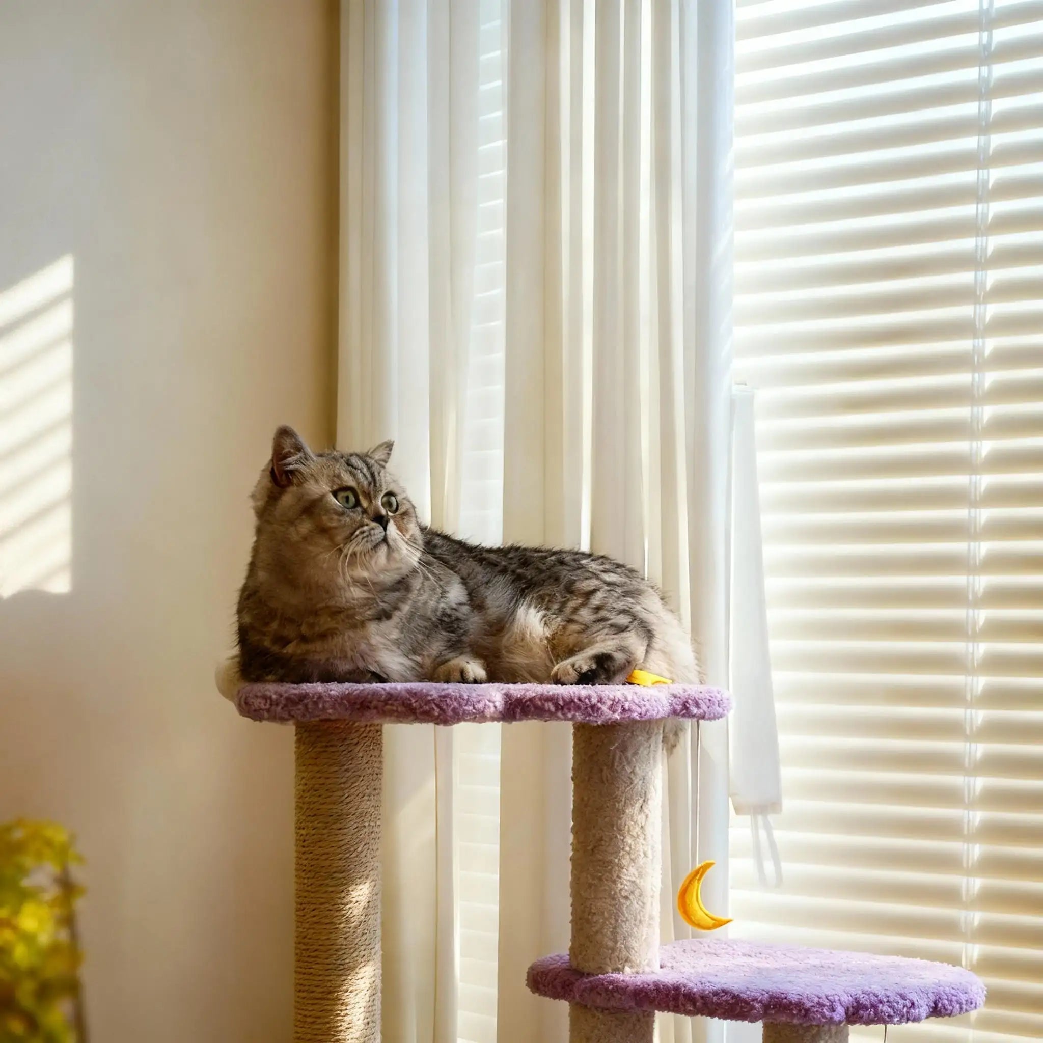 Kittyoo Purple Dream Star Moon Cat Tree