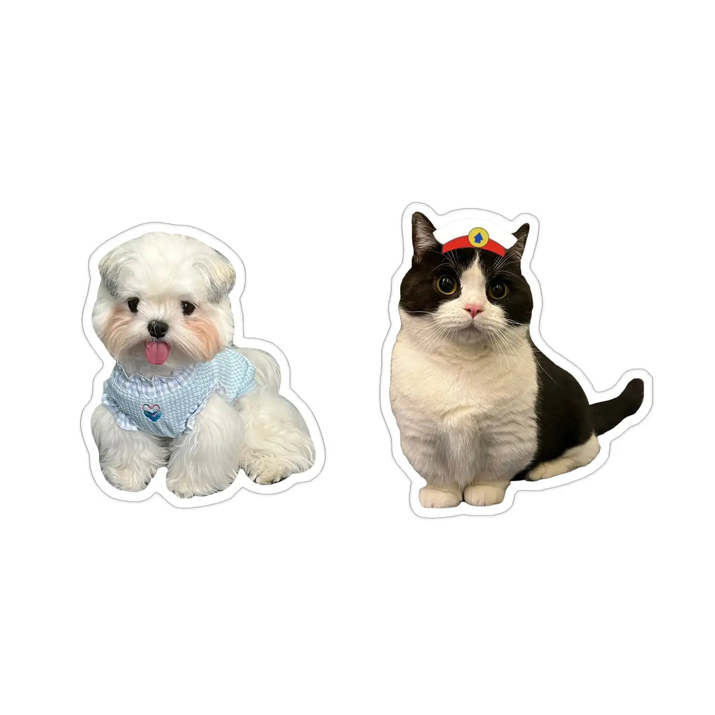 🎁 Special Offer: Get this product FREE on orders over £46!