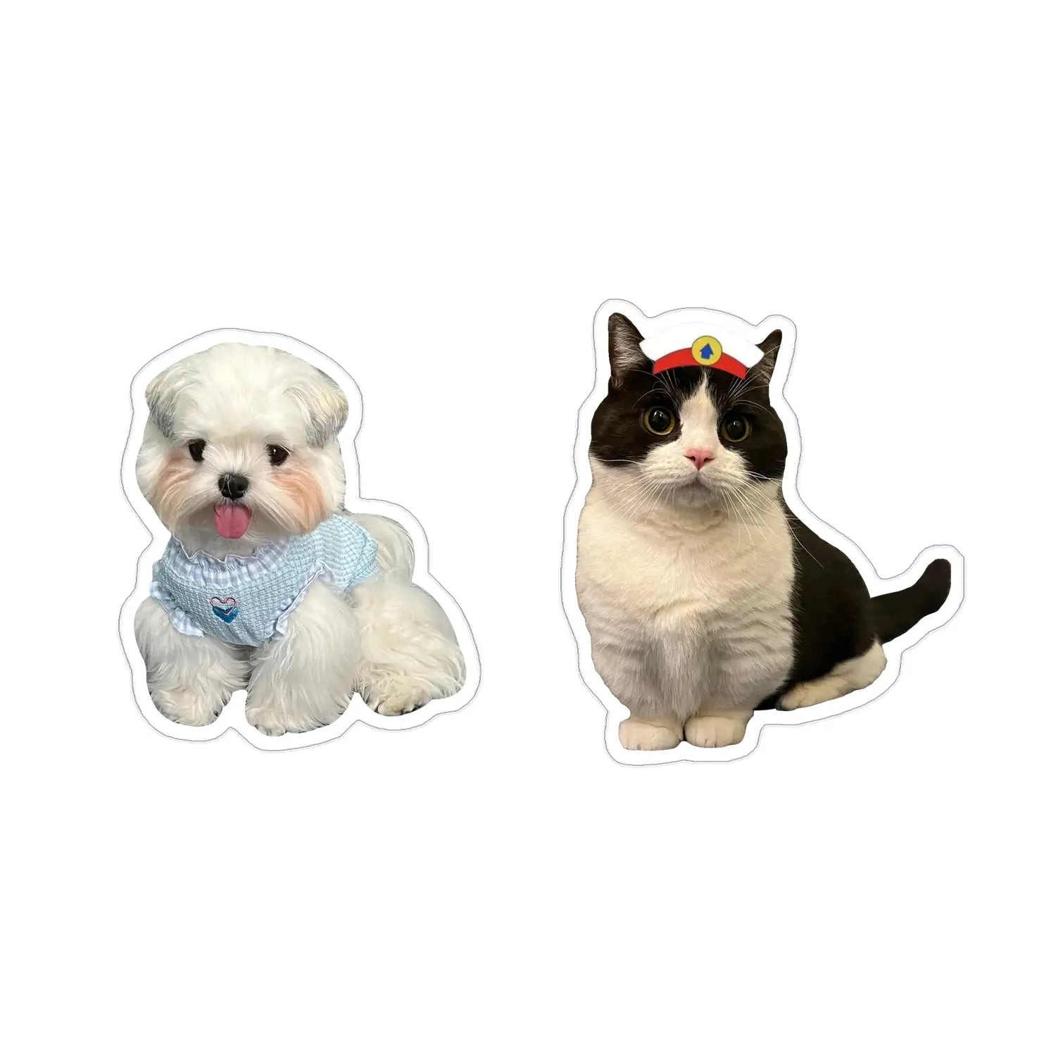 🎁 Special Offer: Get this product FREE on orders over £46!