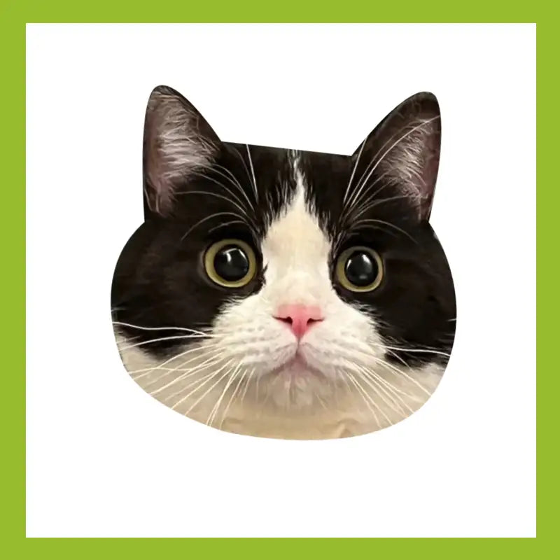 🎁 Special Offer: Get this product FREE on orders over £46!