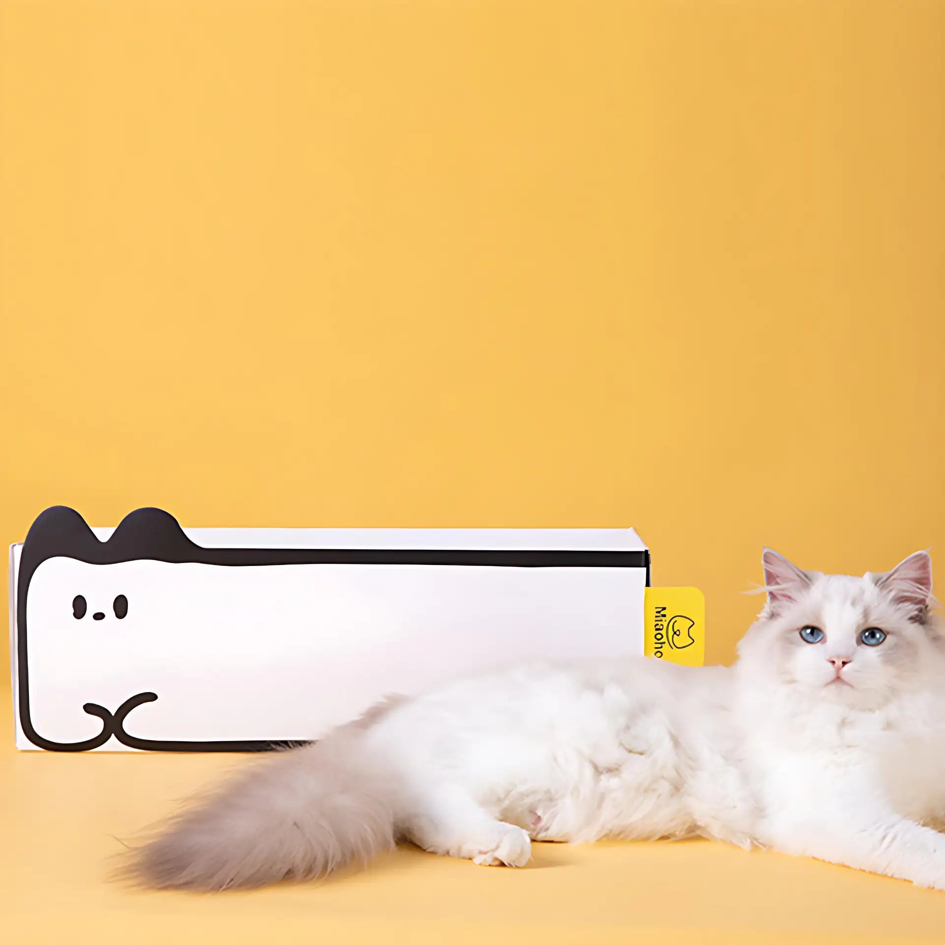 Kittyoo Durable Cat Scratching Box