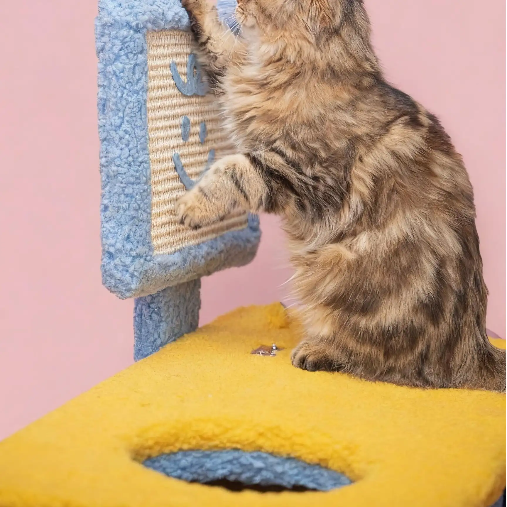 Kittyoo Rotating Cat Tree & Scratching Posts