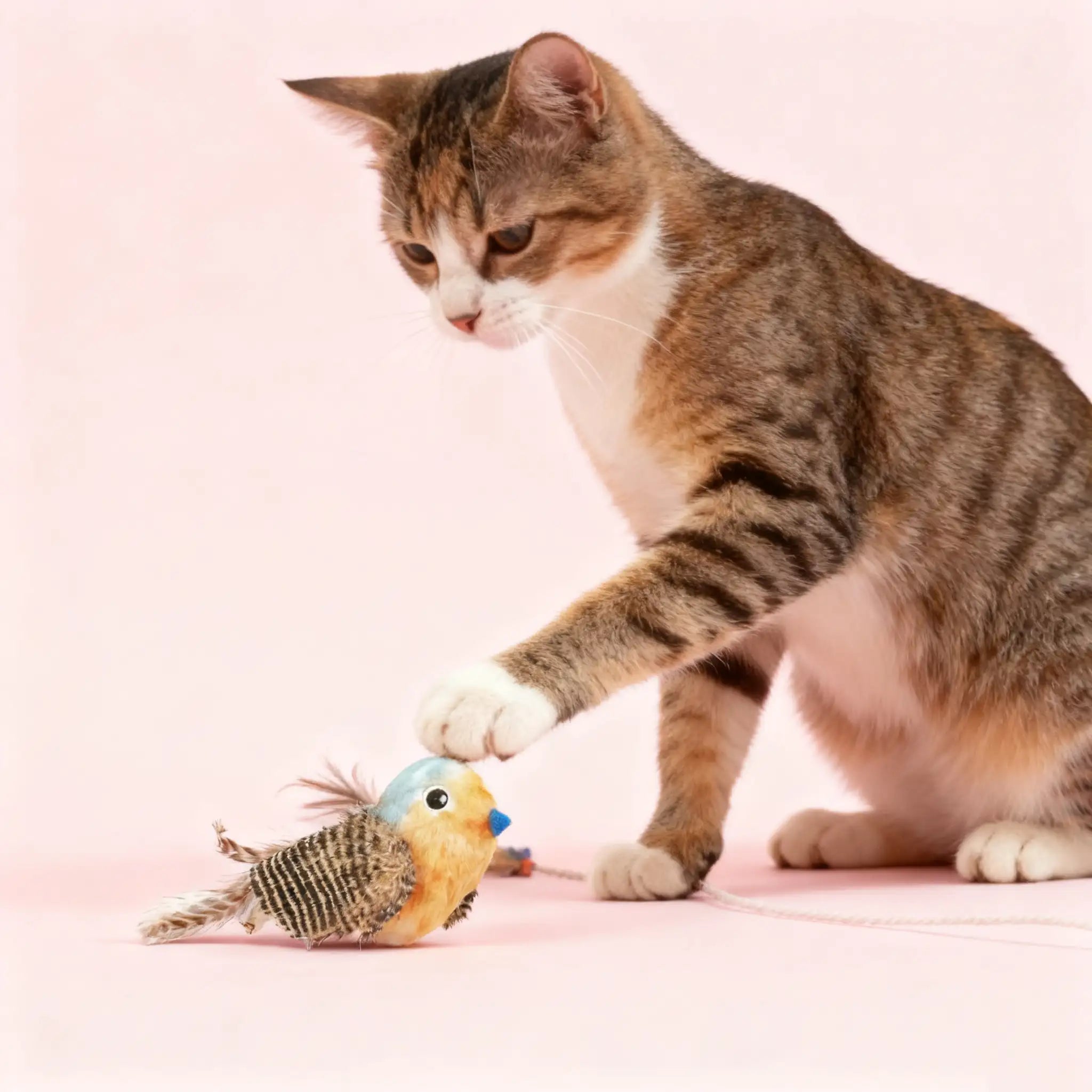 Kittyoo Catnip Bird Toy with Sound