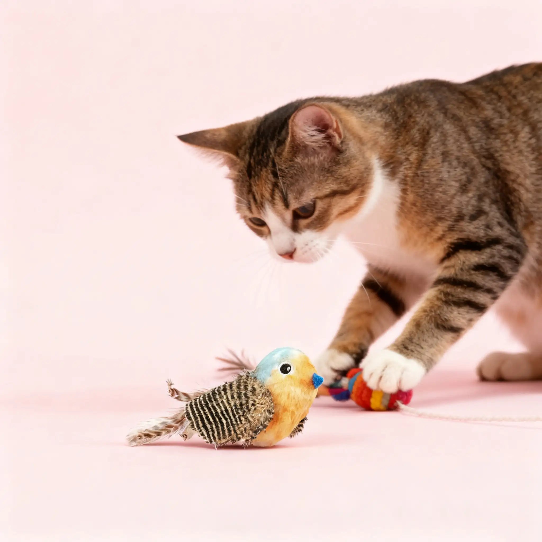 Kittyoo Catnip Bird Toy with Sound