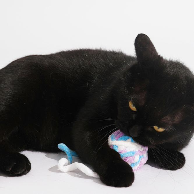 Kittyoo Egg Ball Cat Toy- with Catnip & Bell