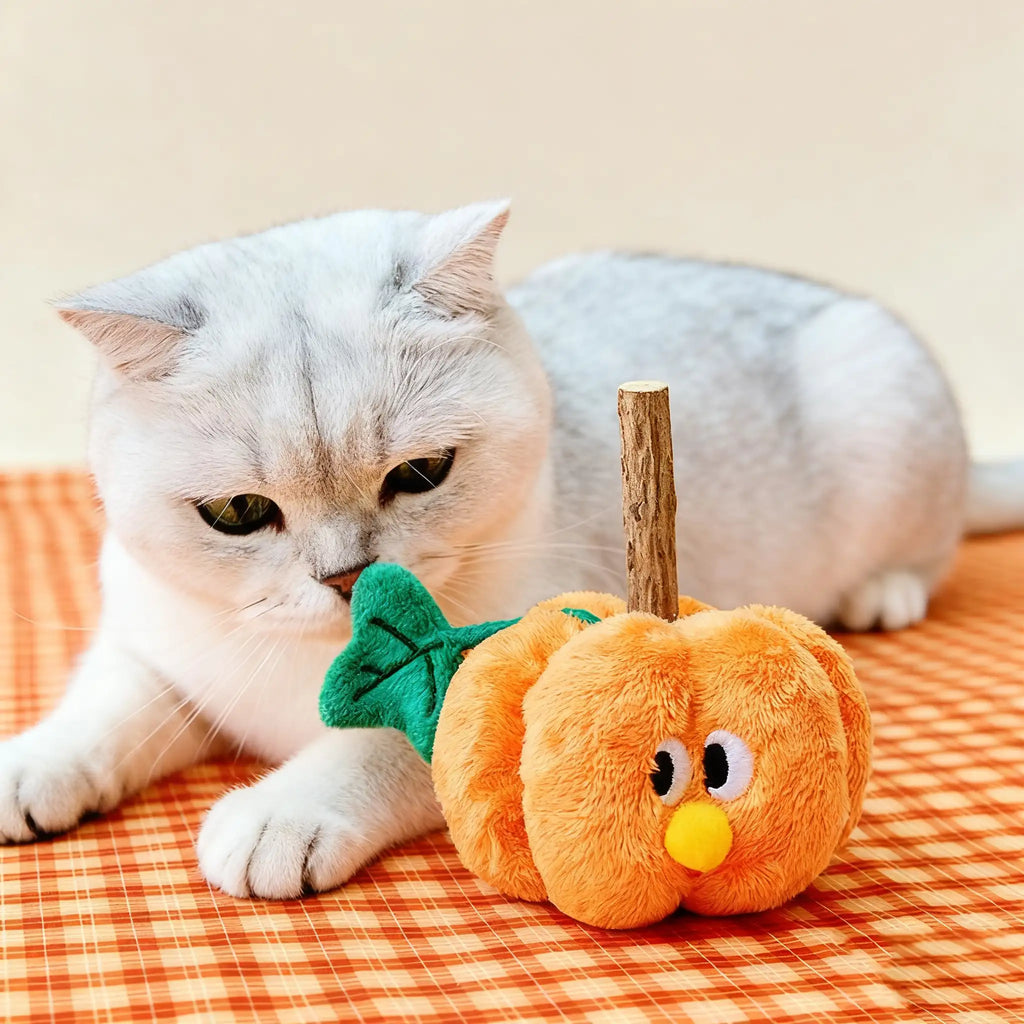 Kittyoo Pumpkin Cat Toy with Catnip