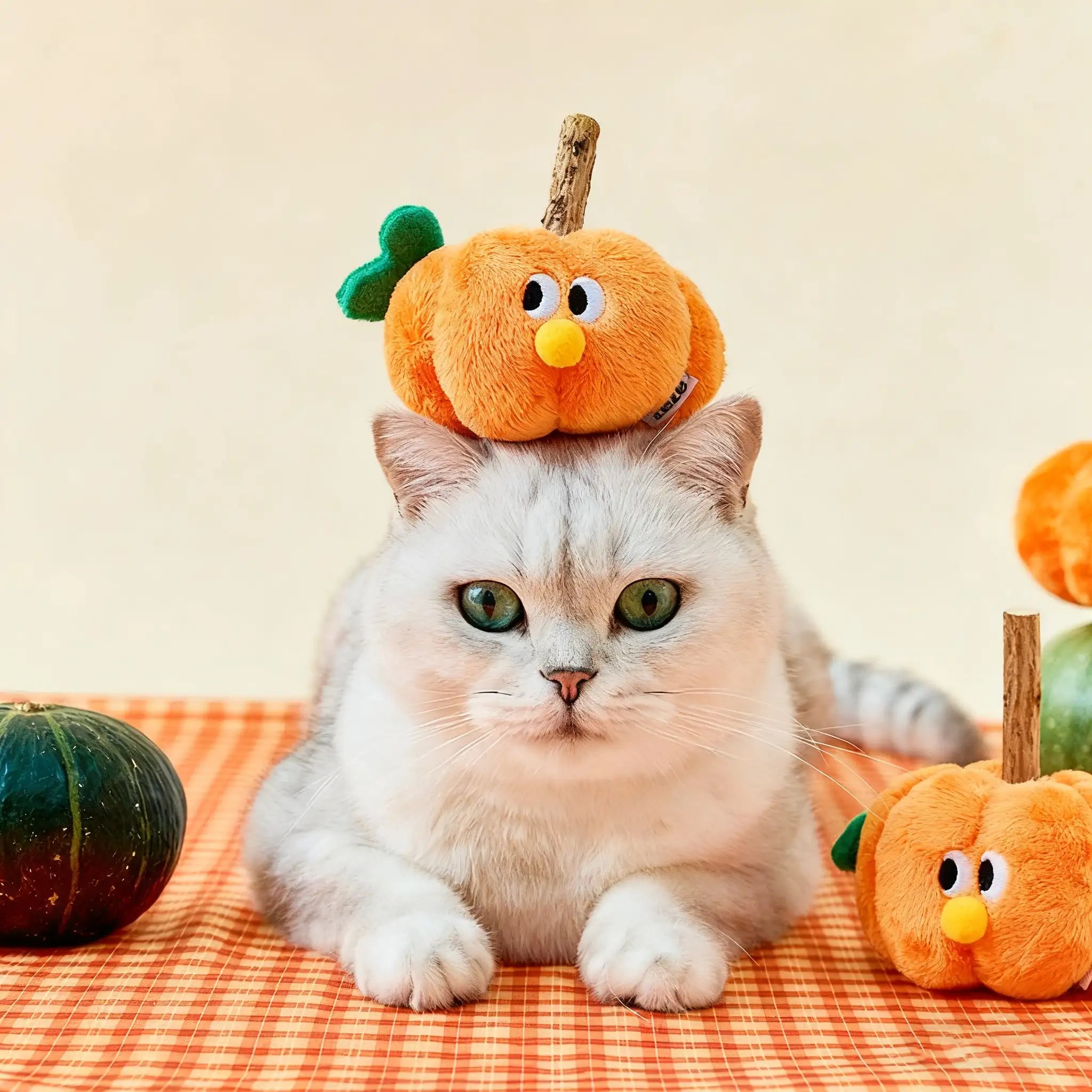 Kittyoo Pumpkin Cat Toy with Catnip