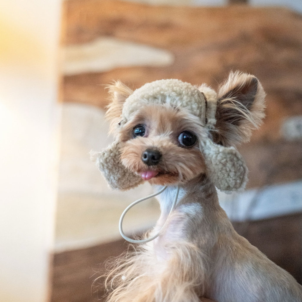 Kittyoo Fleece Aviator Hat - Lamb Wool Ear-Exposed Design