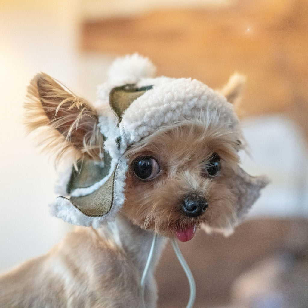 Kittyoo Fleece Aviator Hat - Lamb Wool Ear-Exposed Design