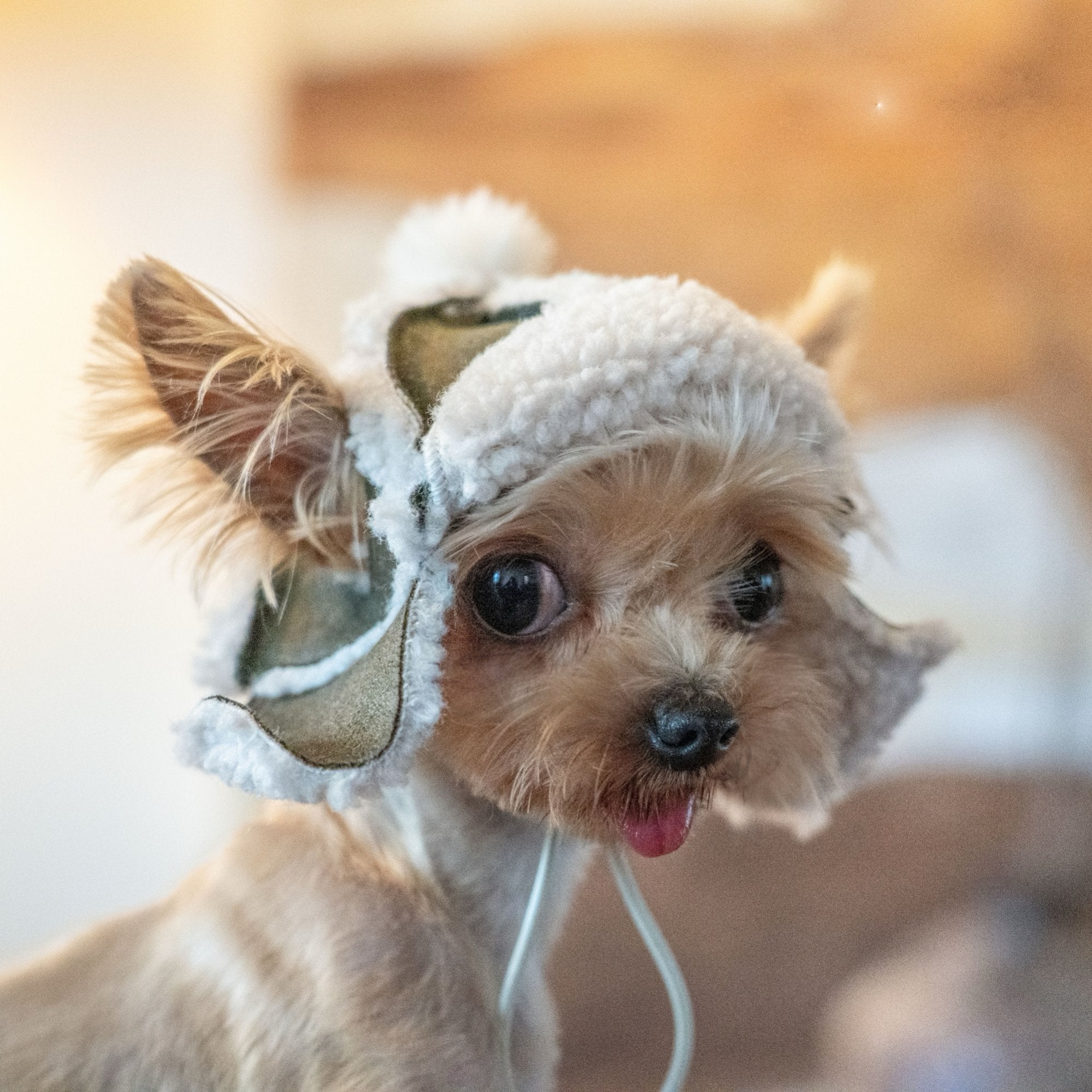 Kittyoo Fleece Aviator Hat - Lamb Wool Ear-Exposed Design