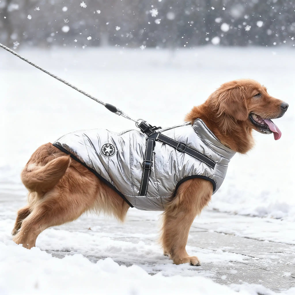 Labrador vinterjakke - Varm, polstret hundejakke med refleksstriper 