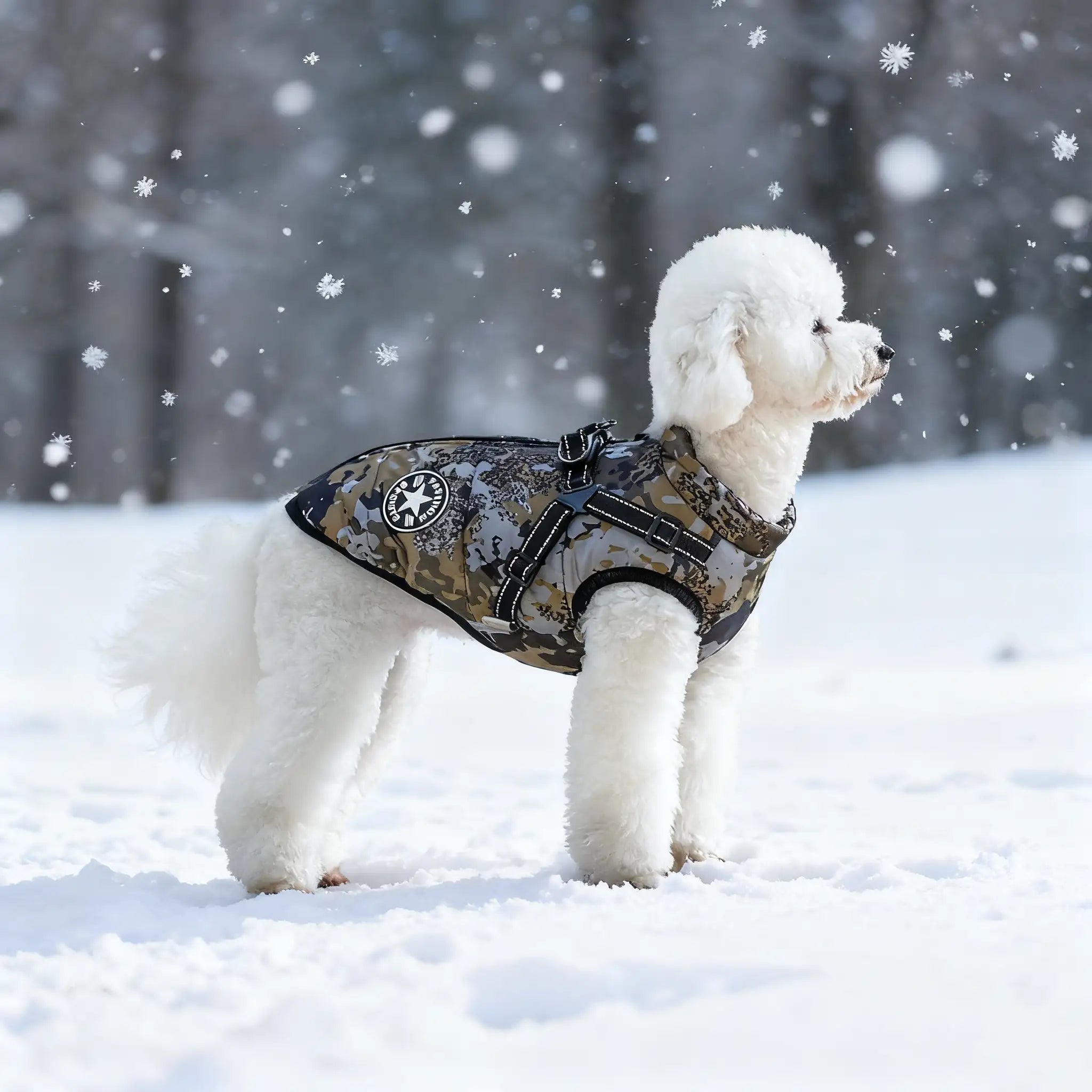 Labrador vinterjakke - Varm, polstret hundejakke med refleksstriper 