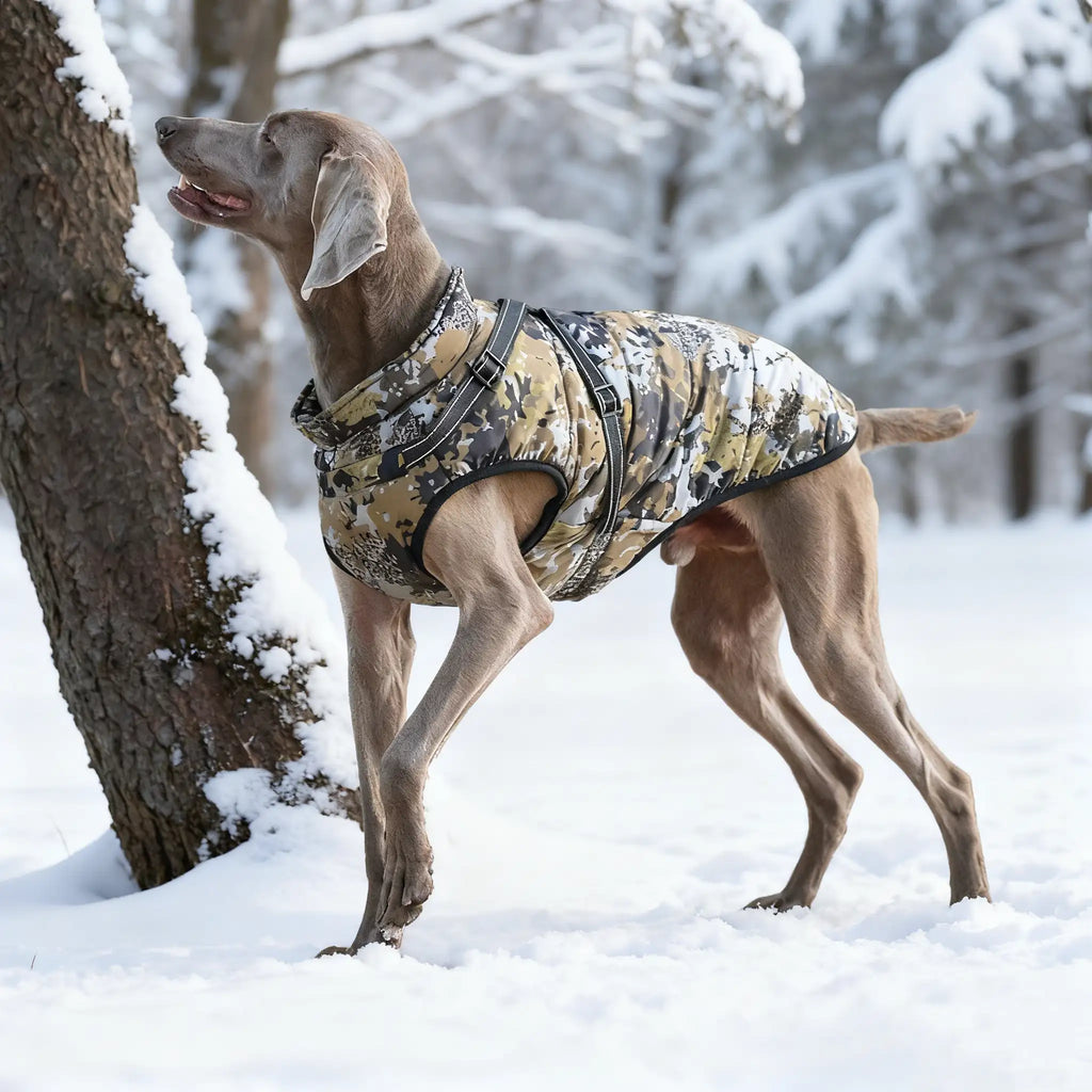Labrador vinterjakke - Varm, polstret hundejakke med refleksstriper 