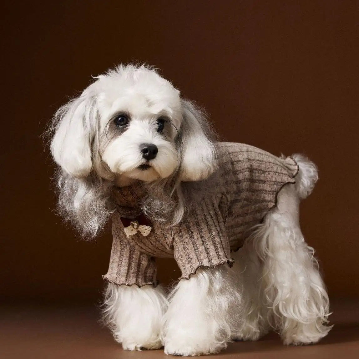 Kittyoo Fall/Winter Dog Clothes