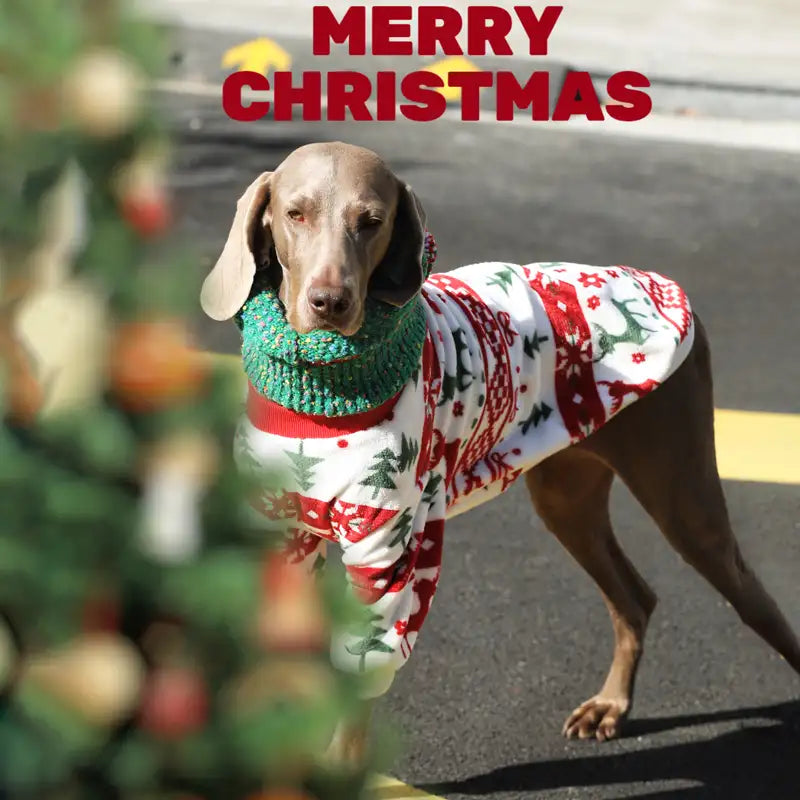 Large Dog Christmas Pajamas - Warm Flannel Winter Clothes