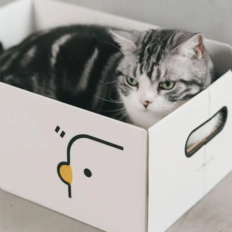 Kittyoo Minimalist Cat Scratcher Series