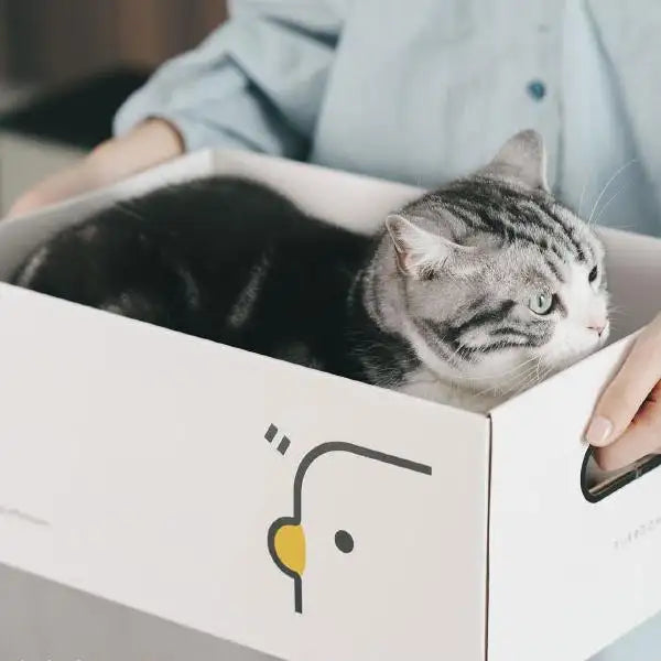 Kittyoo Minimalist Cat Scratcher Series