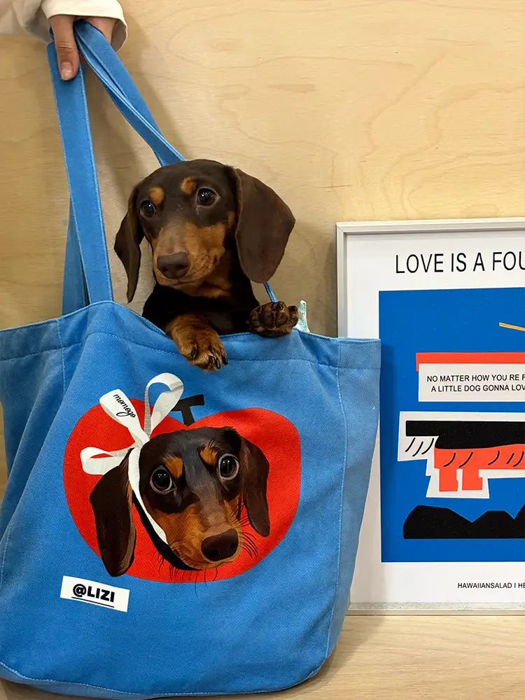 Pet Customization Series  (4).webp