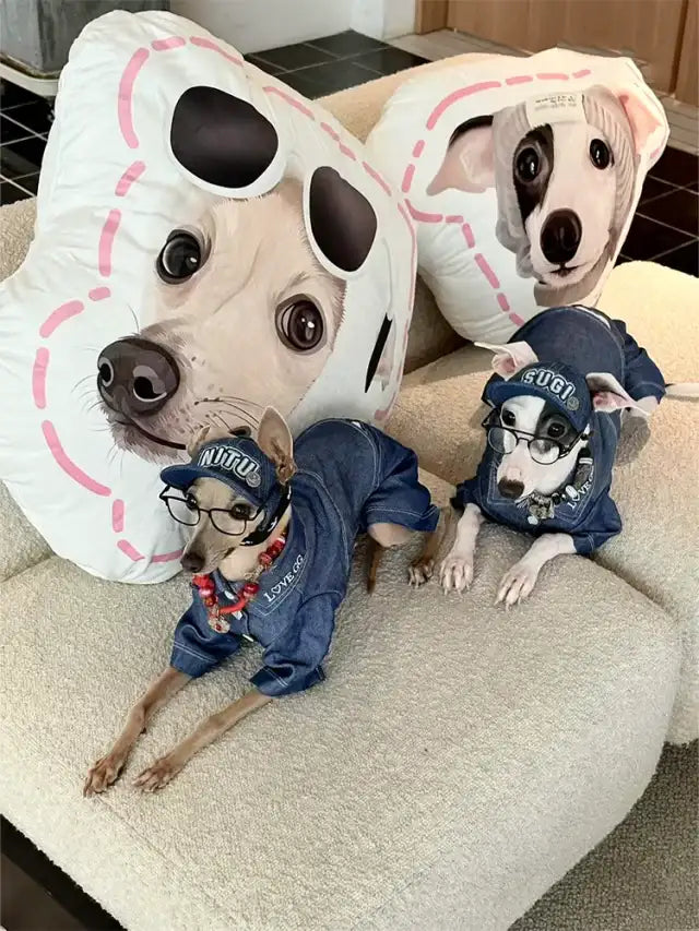 Pet Customization Series  (9).webp