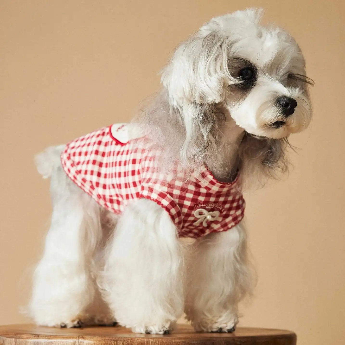 Kittyoo Red Checkered Vest for Dogs
