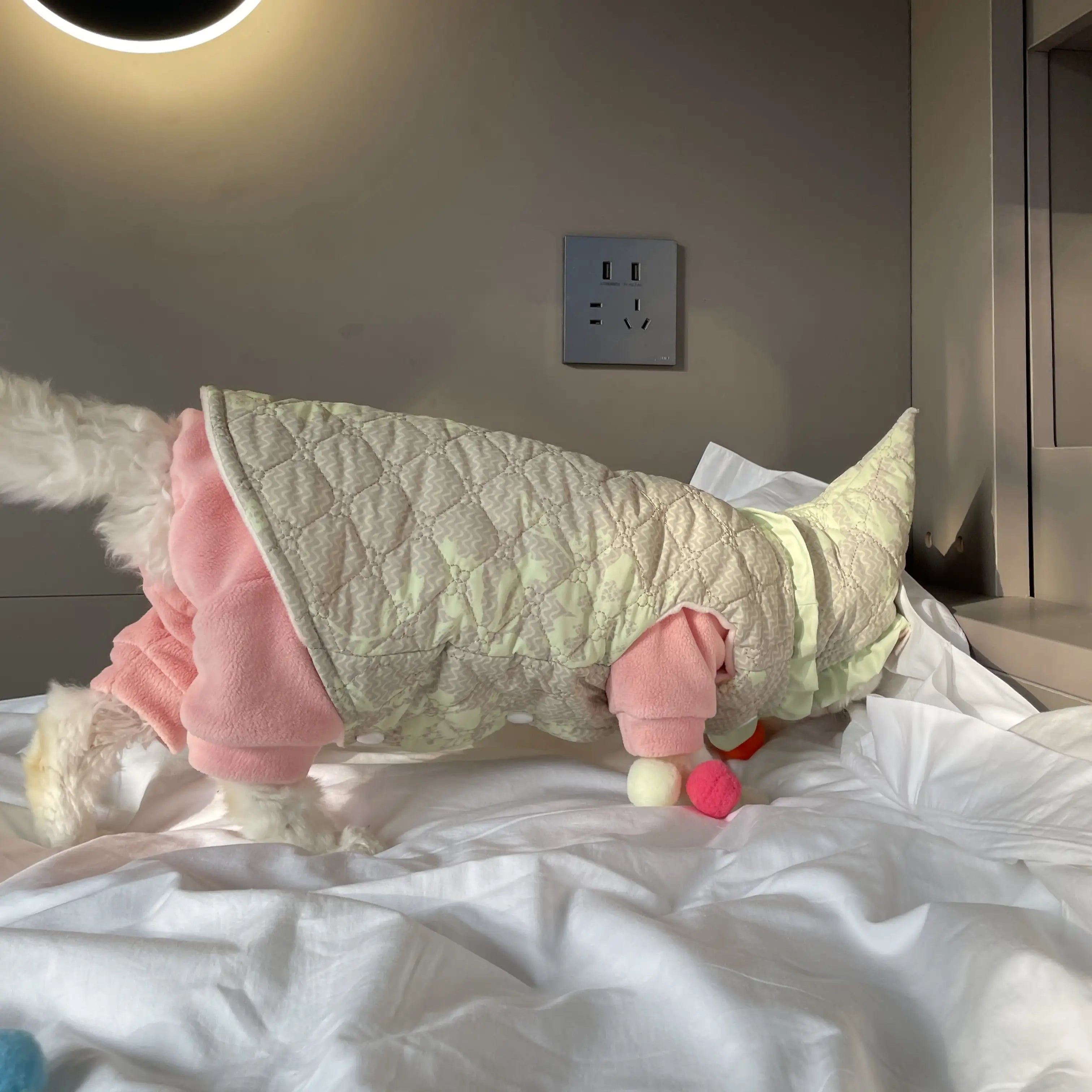 Gilet d'hiver pour chat Sphynx - Veste en coton rembourrée pour chats sans poils 