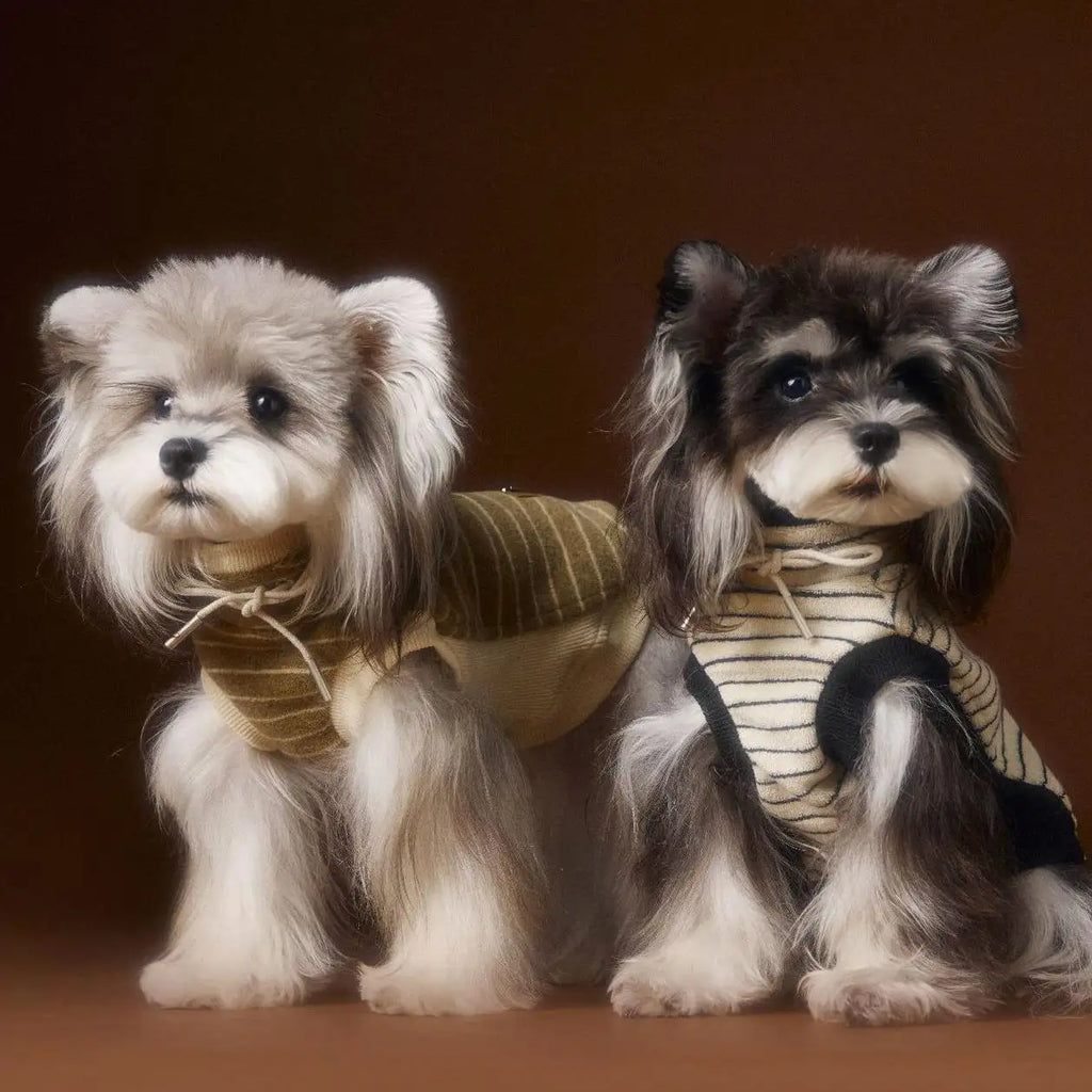 Kittyoo Autumn Dog Clothes