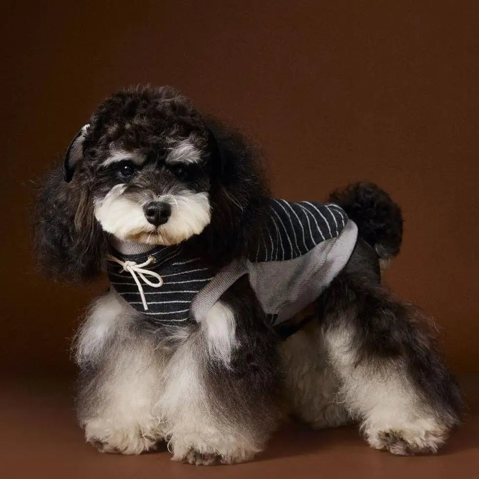 Kittyoo Autumn Dog Clothes