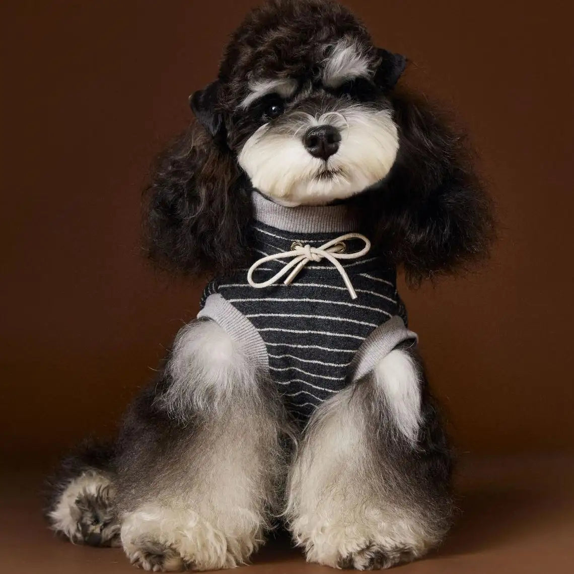 Kittyoo Autumn Dog Clothes