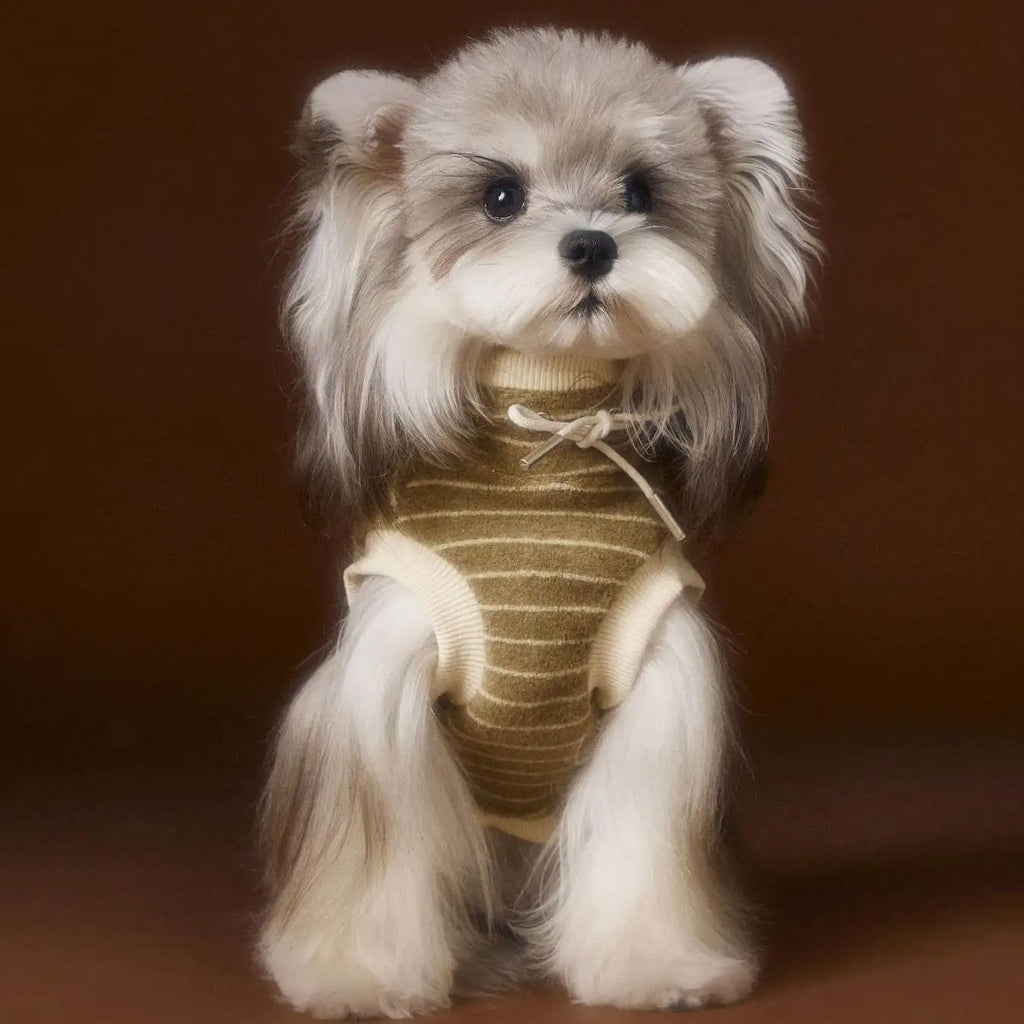 Kittyoo Autumn Dog Clothes