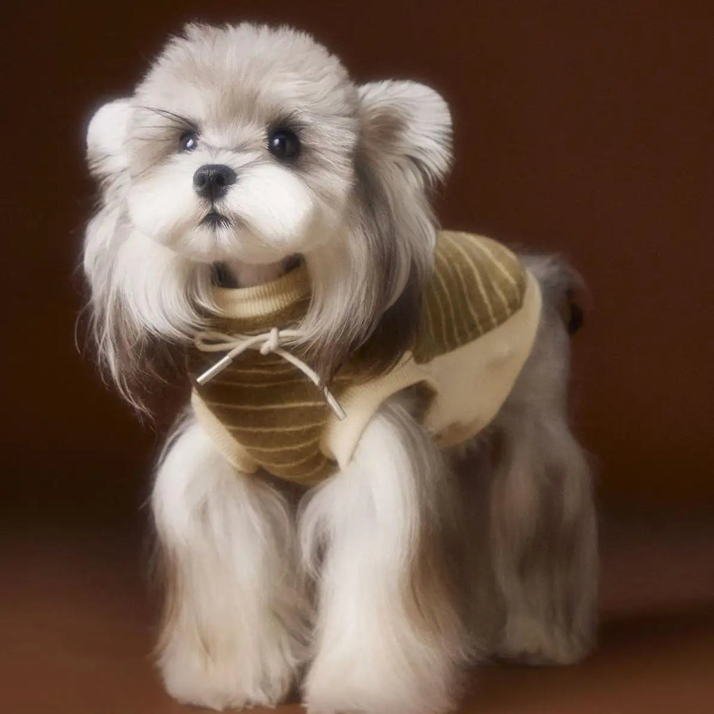 Kittyoo Autumn Dog Clothes