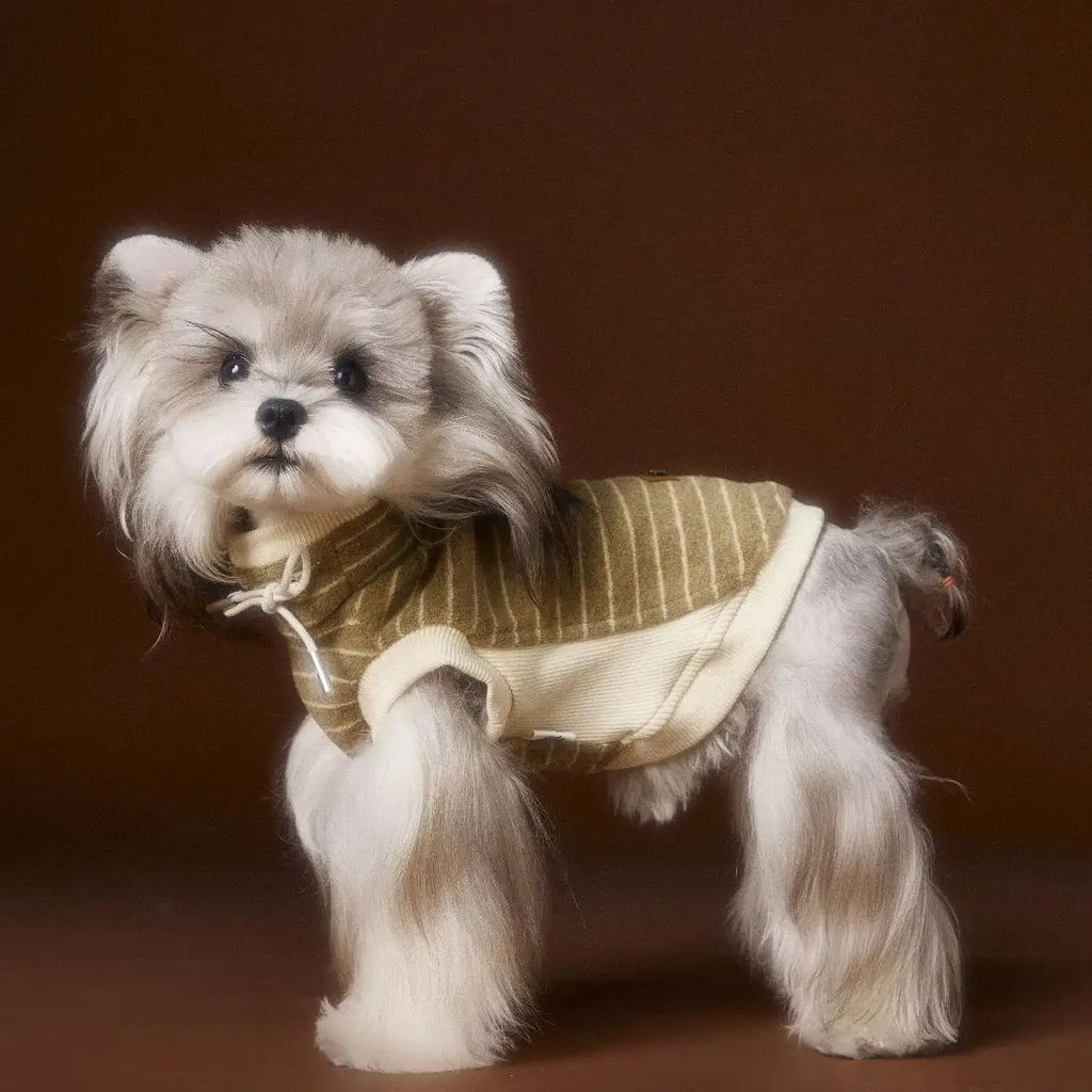 Kittyoo Autumn Dog Clothes