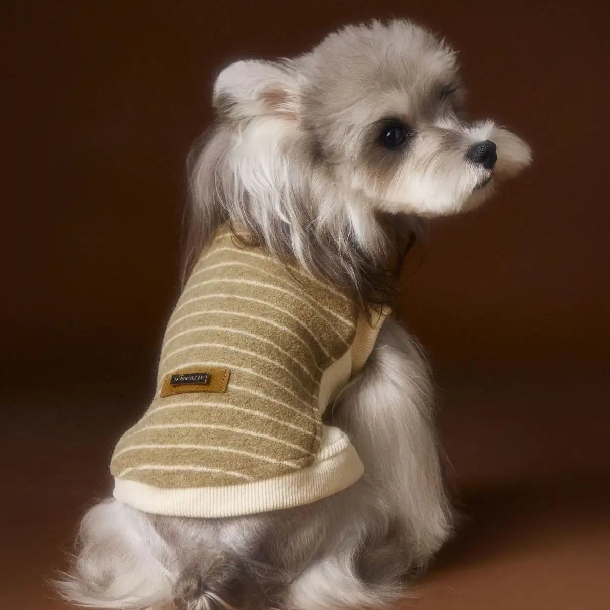 Kittyoo Autumn Dog Clothes