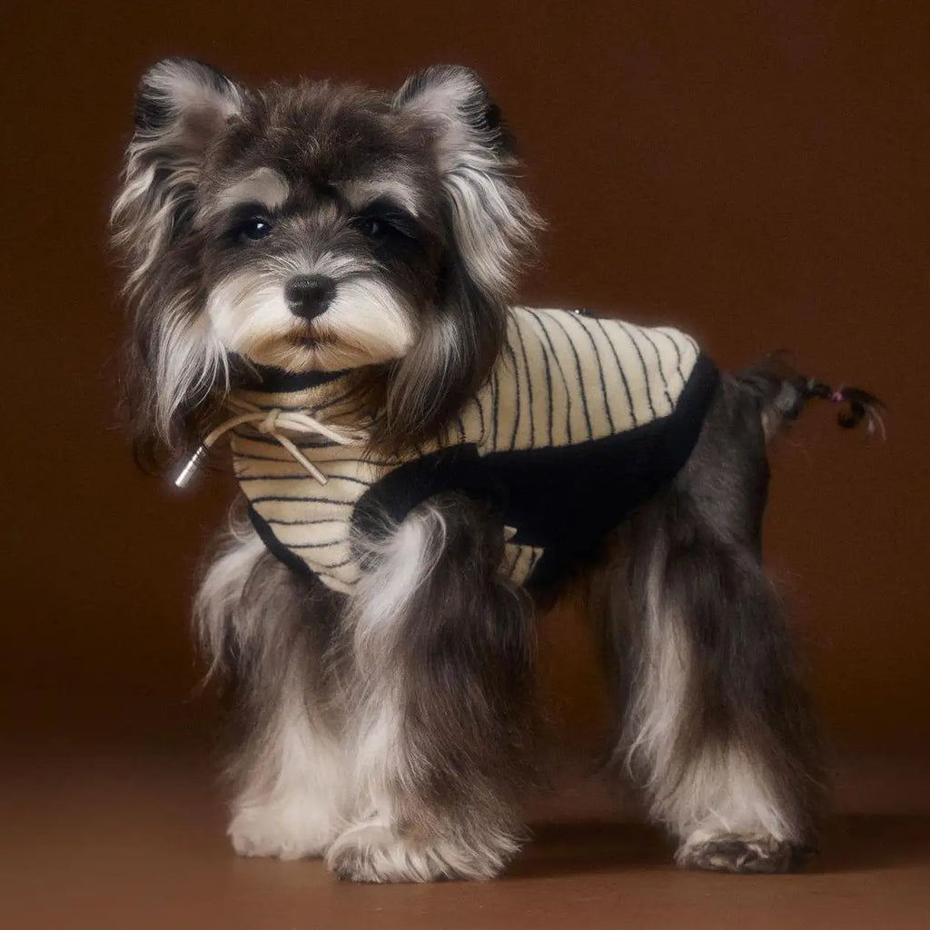 Kittyoo Autumn Dog Clothes