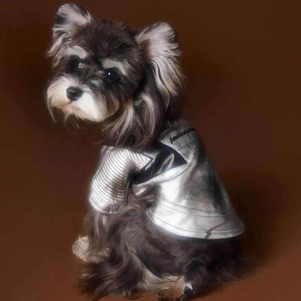 Kittyoo Autumn/Winter New Dog Clothes