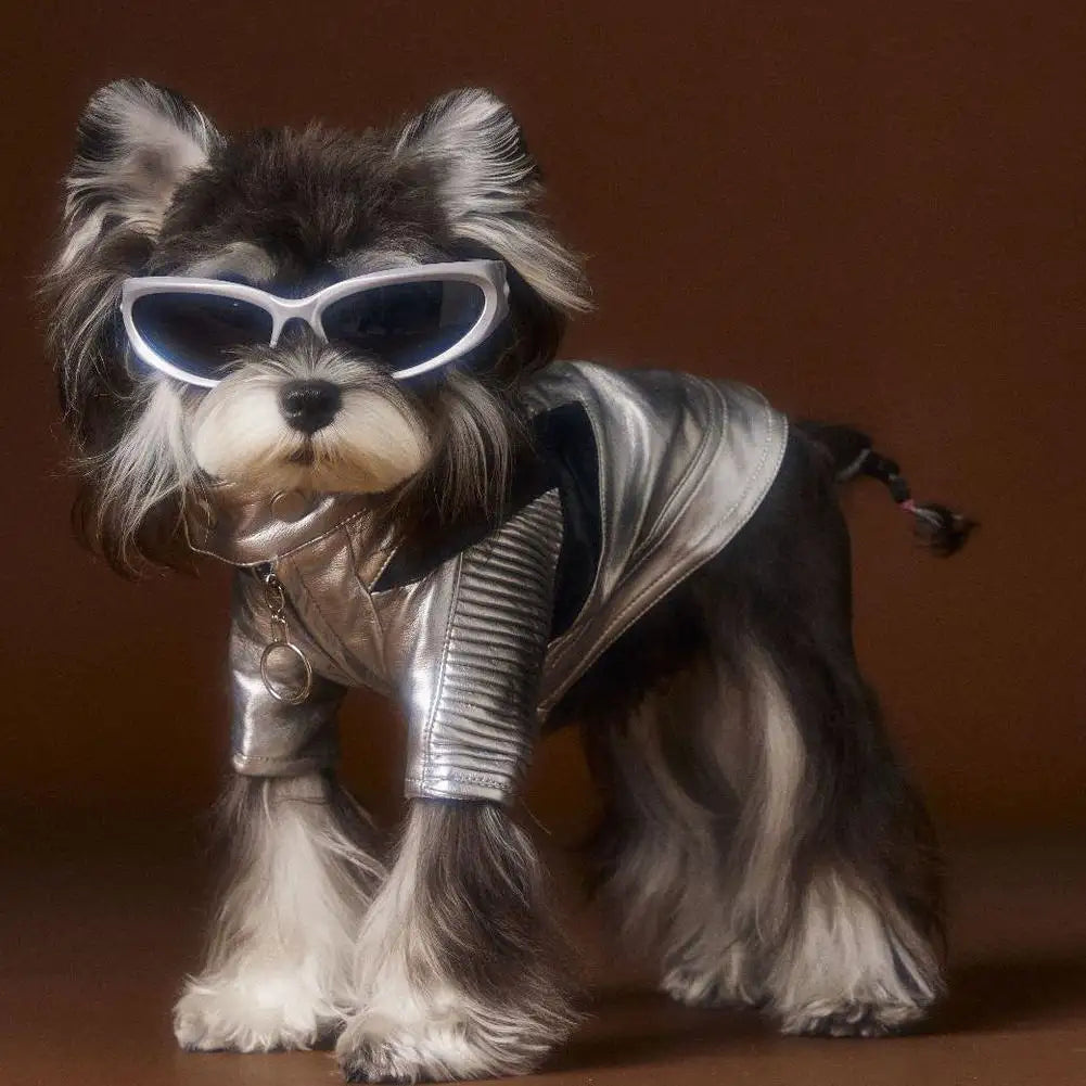 Kittyoo Autumn/Winter New Dog Clothes