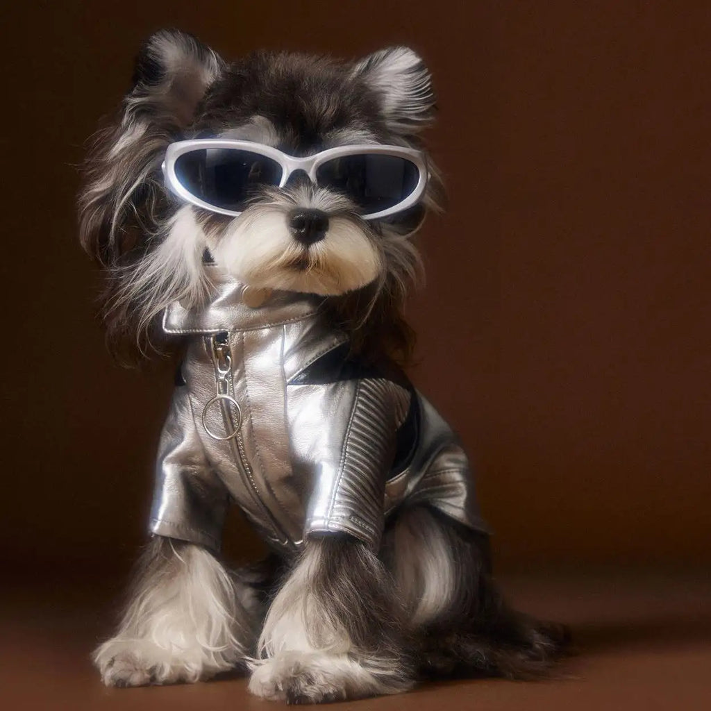 Kittyoo Autumn/Winter New Dog Clothes