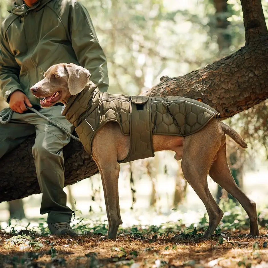 Reflekterende vintervest til hund - Vanntett fleecejakke for store hunder 