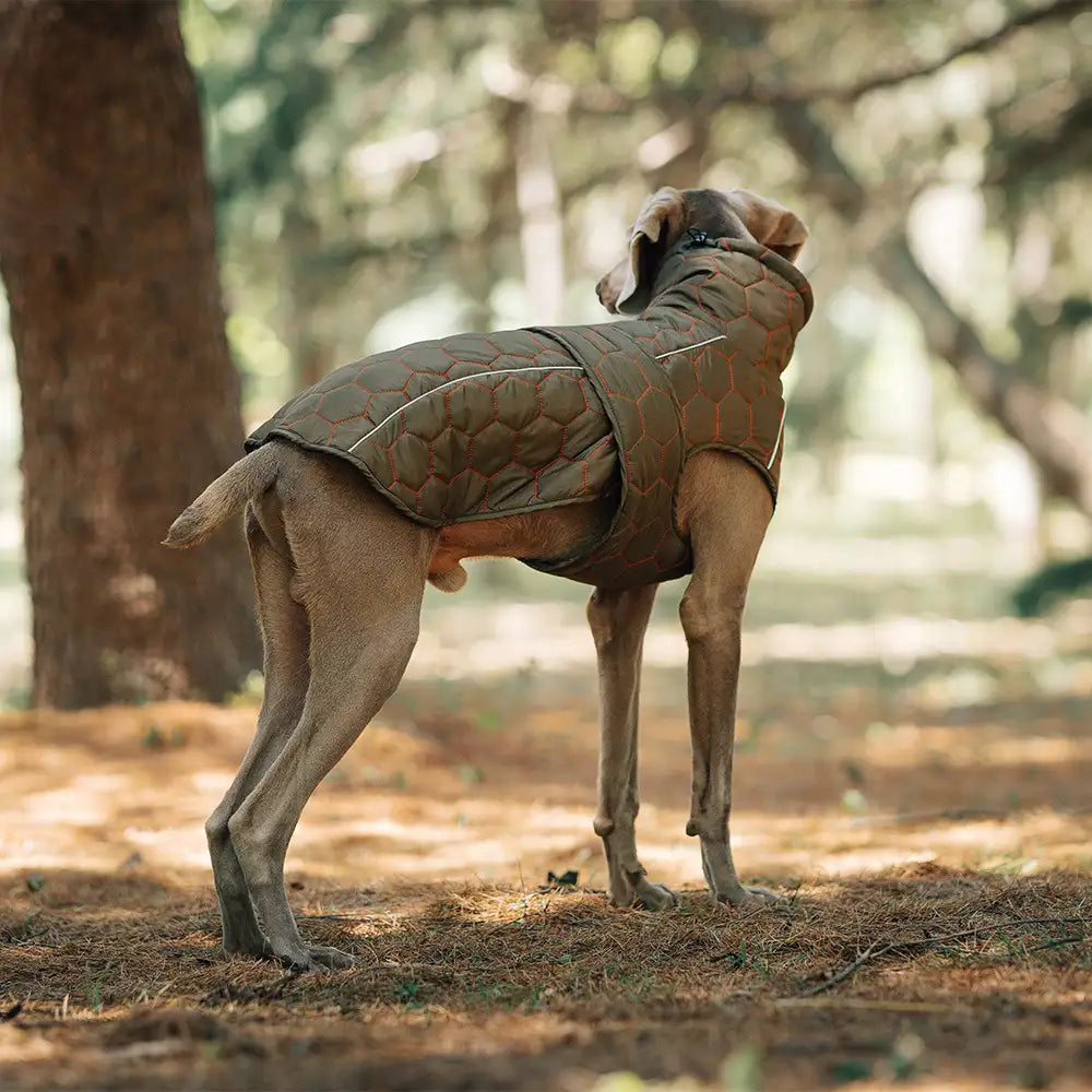 Reflekterende vintervest til hund - Vanntett fleecejakke for store hunder 