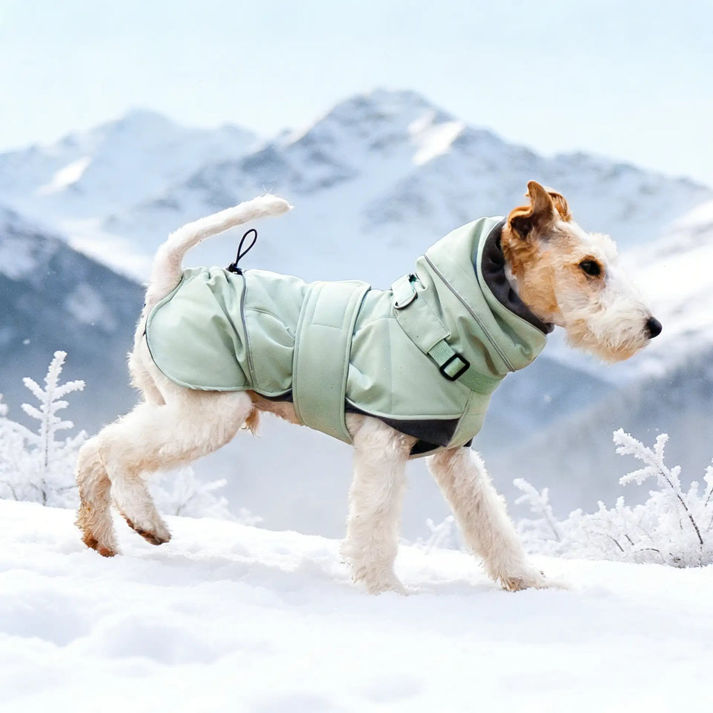 Manteau d'hiver pour chien coupe-vent à col montant, ultra-épais et chaud - Veste d'hiver ajustable 