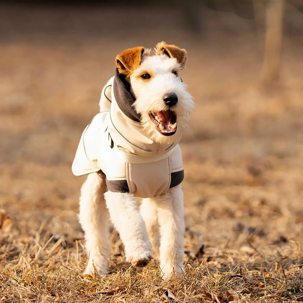 Manteau d'hiver pour chien coupe-vent à col montant, ultra-épais et chaud - Veste d'hiver ajustable 