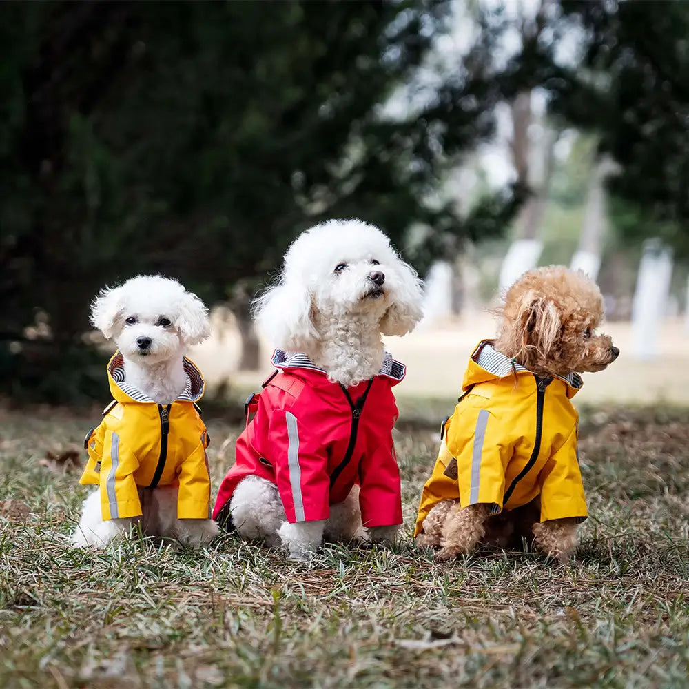 Kittyoo Classic British Style Waterproof Dog Raincoat