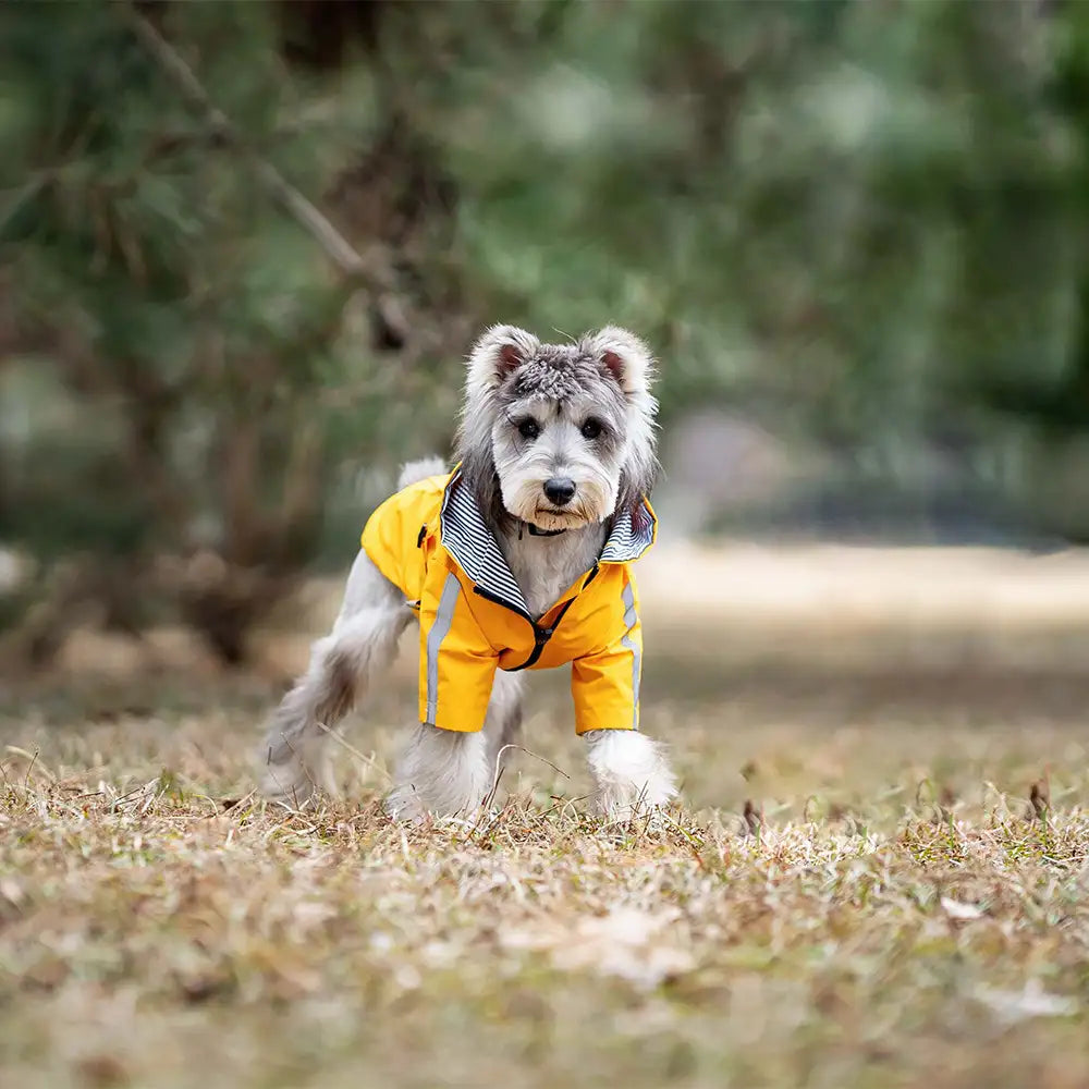 Kittyoo Classic British Style Waterproof Dog Raincoat