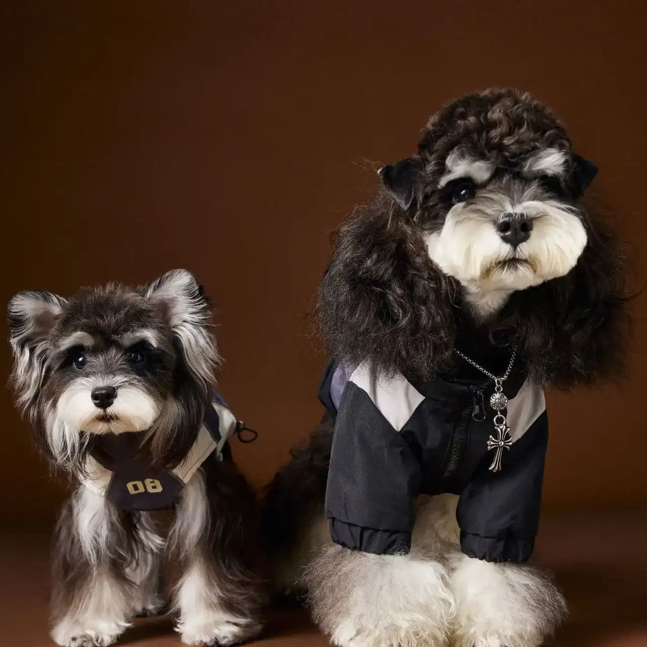 Kittyoo Dog Autumn Sports Vest